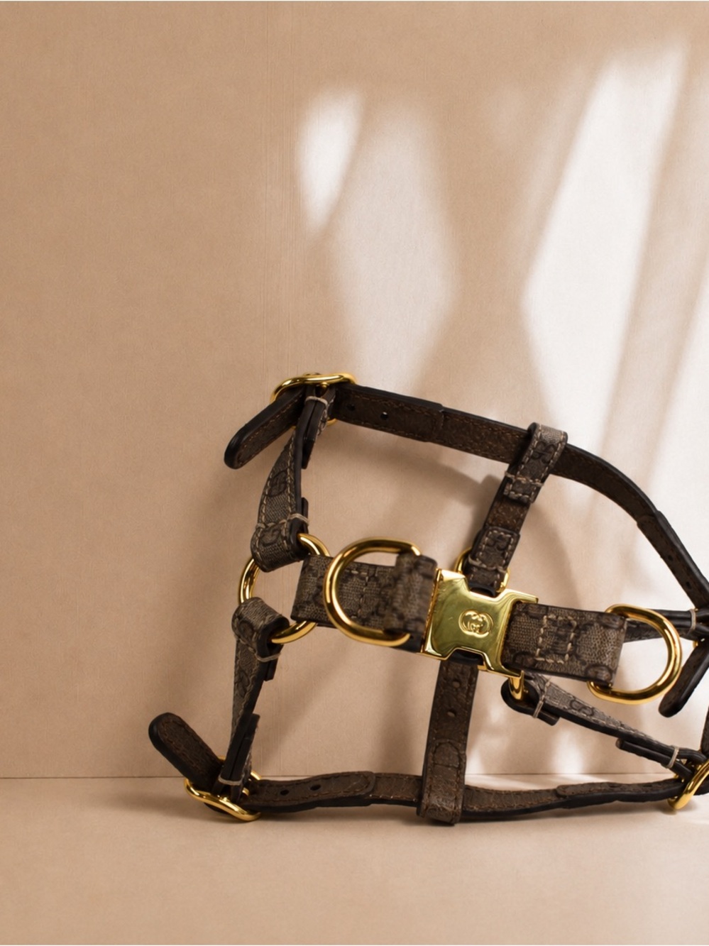 Gucci dog harness xs